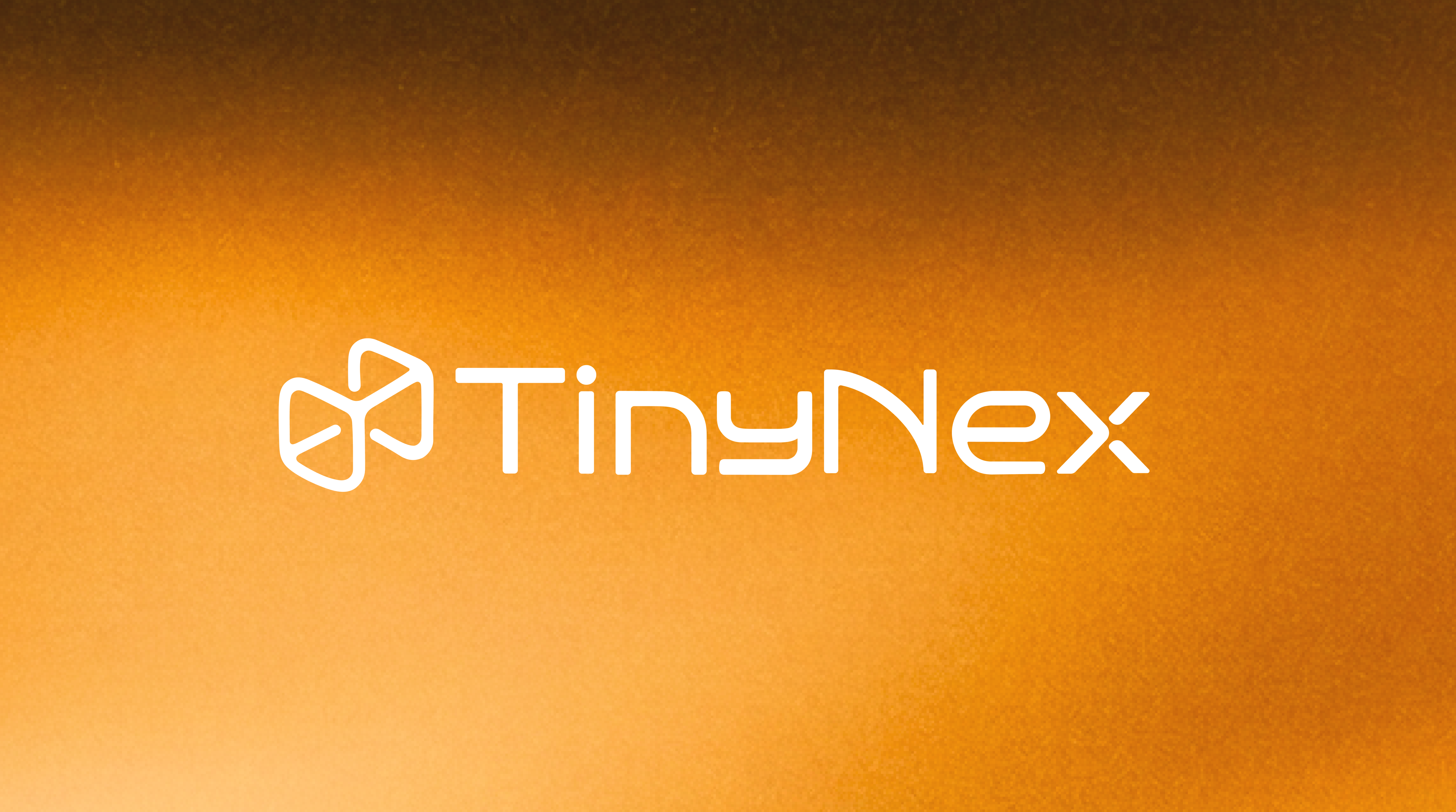 TinyNex Brand Identity 04